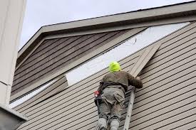 Best Custom Trim and Detailing for Siding  in Nd Lake, WI